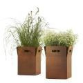 Colored Pots For Plants