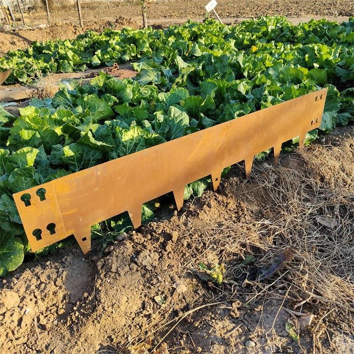 Edging Flower Bed best