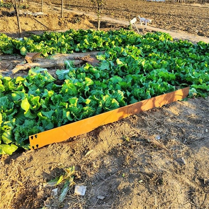 Grass Partition Board
