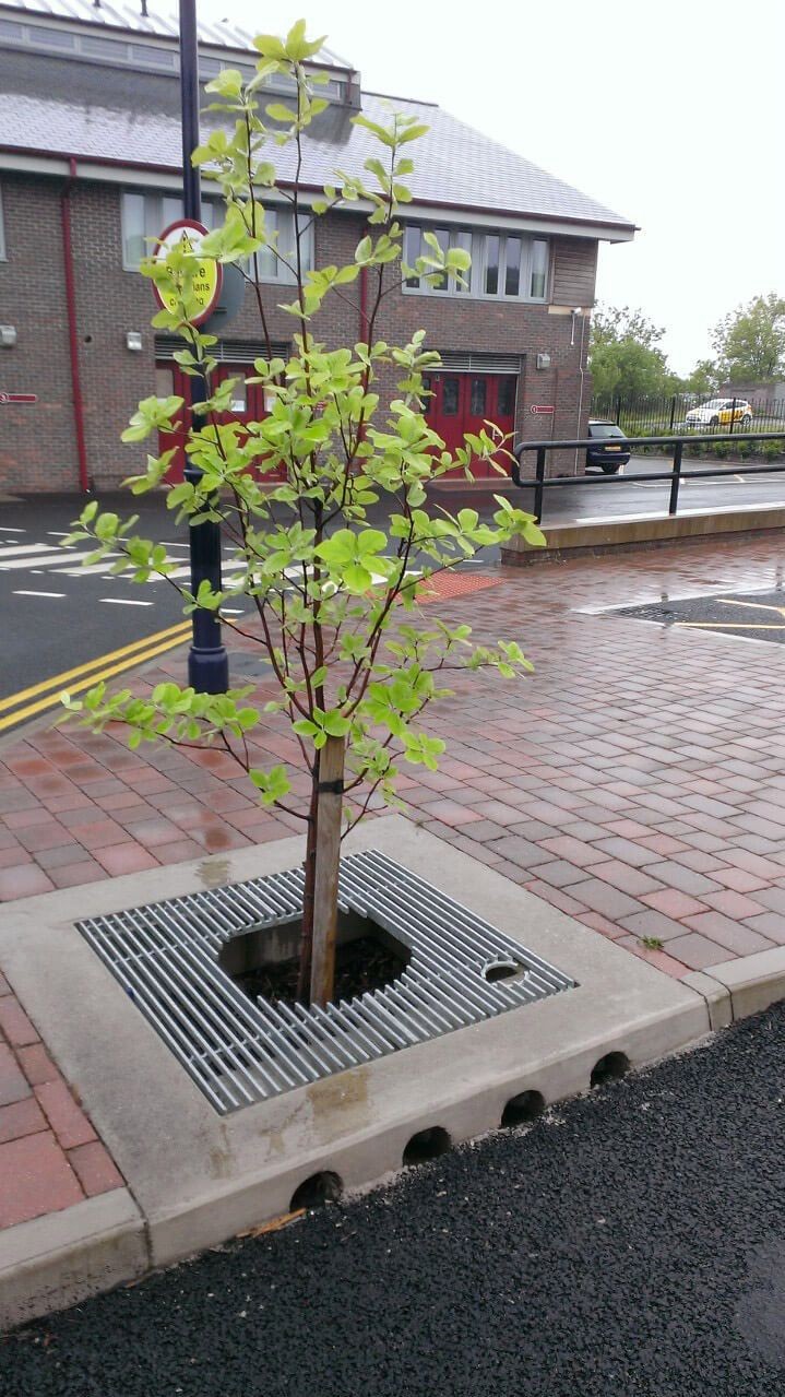 Metal Corten Steel Tree Grate price