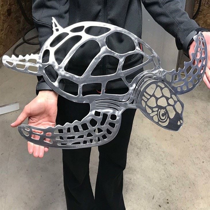 Metal Turtle