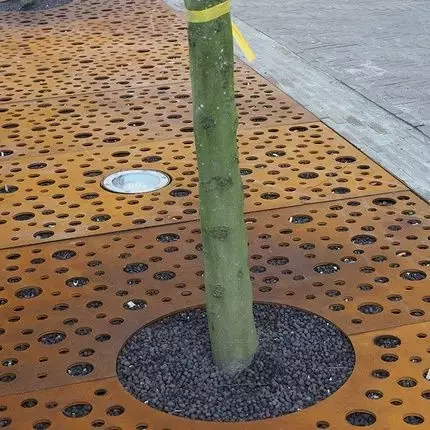 Rust Tree Grating Tree Grate Corten